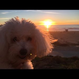 Meet your Posher, Candace